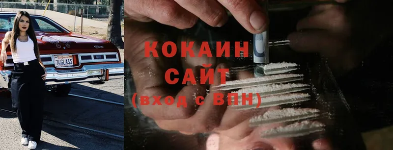 дарк нет официальный сайт  Ефремов  Cocaine FishScale  закладка 